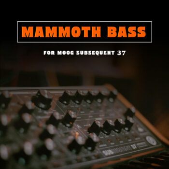 Mammoth Bass for Moog Subsequent 37