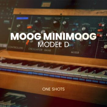 Moog Minimoog Model D One Shots